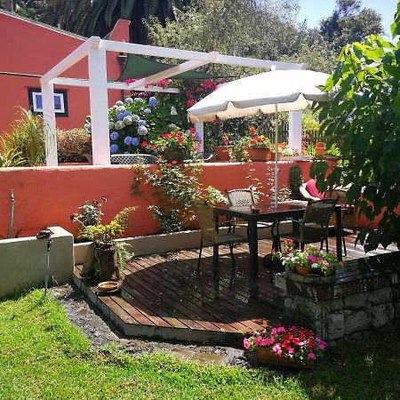 Jardines De Hortensia - Vacation Home Tenerife La Laguna  Exterior photo