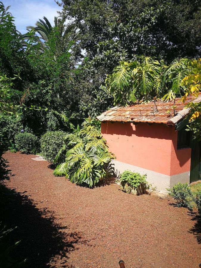 Jardines De Hortensia - Vacation Home Tenerife La Laguna  Exterior photo
